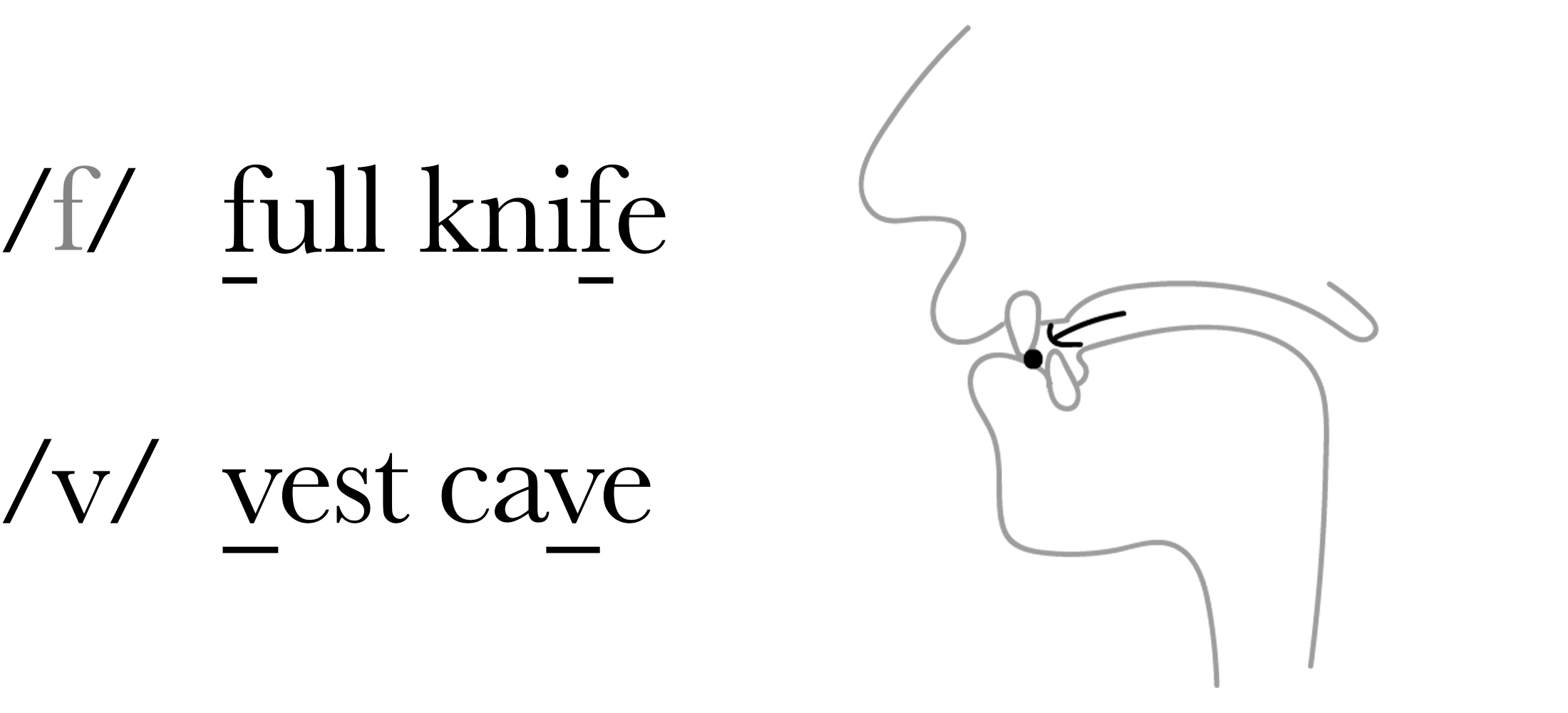 Fricatives (2129) Pronunciation Studio