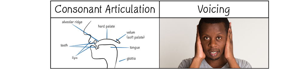 ,Consonant Articulation,Voicing, object Rectangle , object Rectangle 