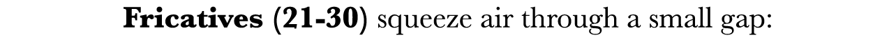 Fricatives (21-30) squeeze air through a small gap: