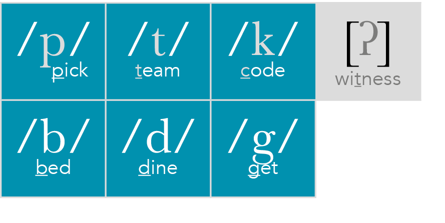  p     pick, t  team, k  code, ʔ  witness, b  bed, d  dine, g  get,