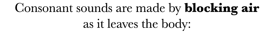 Consonant sounds are made by blocking air as it leaves the body:
