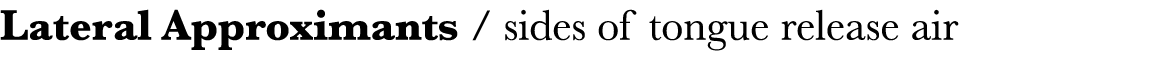 Lateral Approximants   sides of tongue release air
