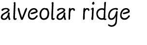 alveolar ridge
