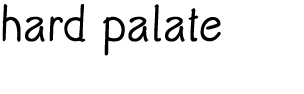 hard palate