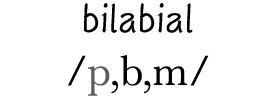 bilabial  p,b,m 