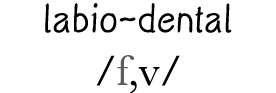 labio-dental  f,v 