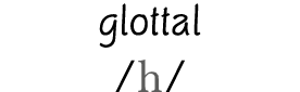 glottal  h 