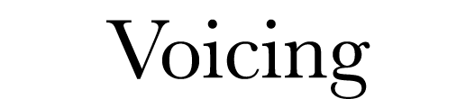  Voicing