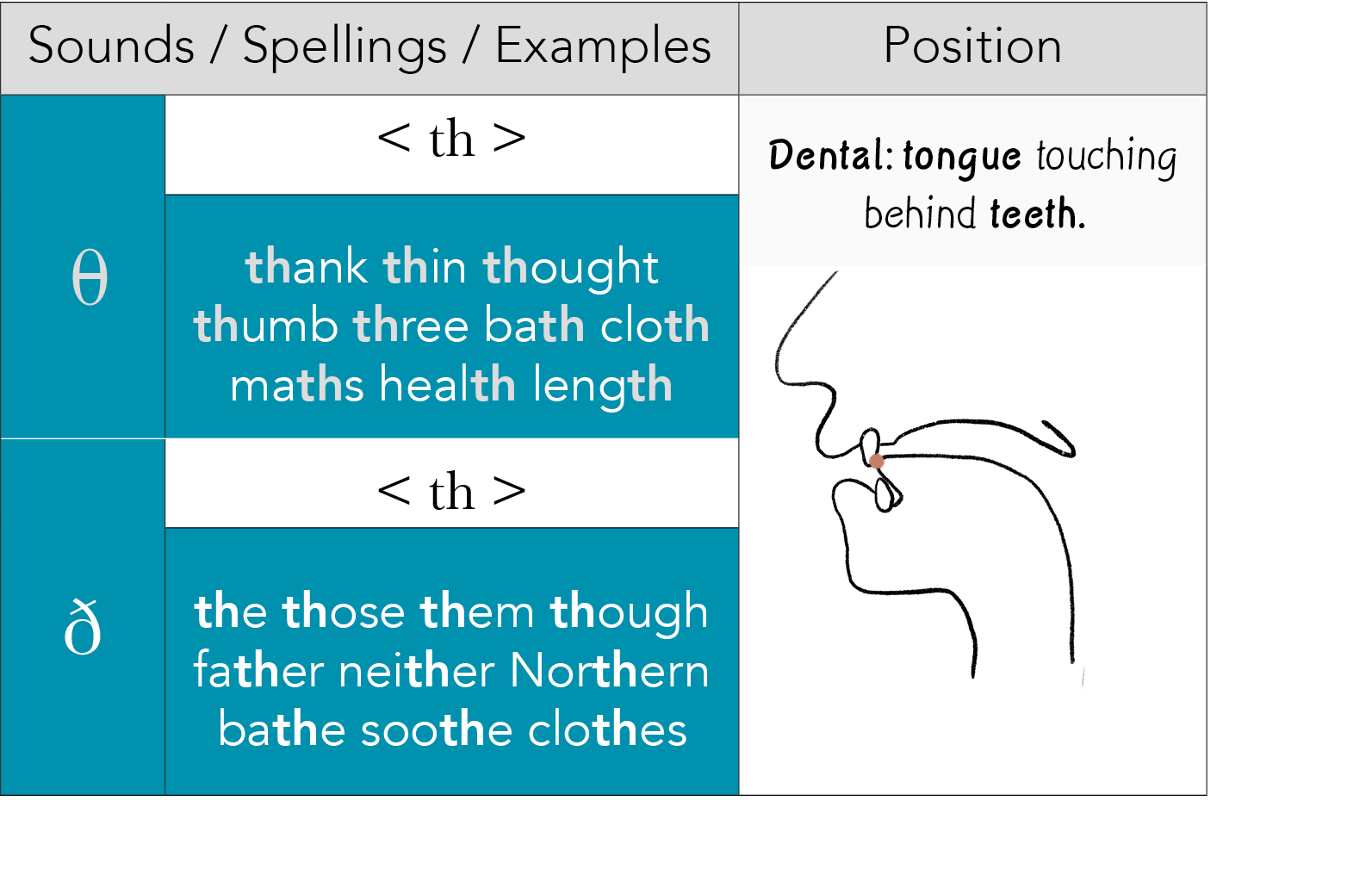 Sounds   Spellings   Examples,Position,  ,  th  ,Dental: tongue touching behind teeth  ,thank thin thought thumb thre   
