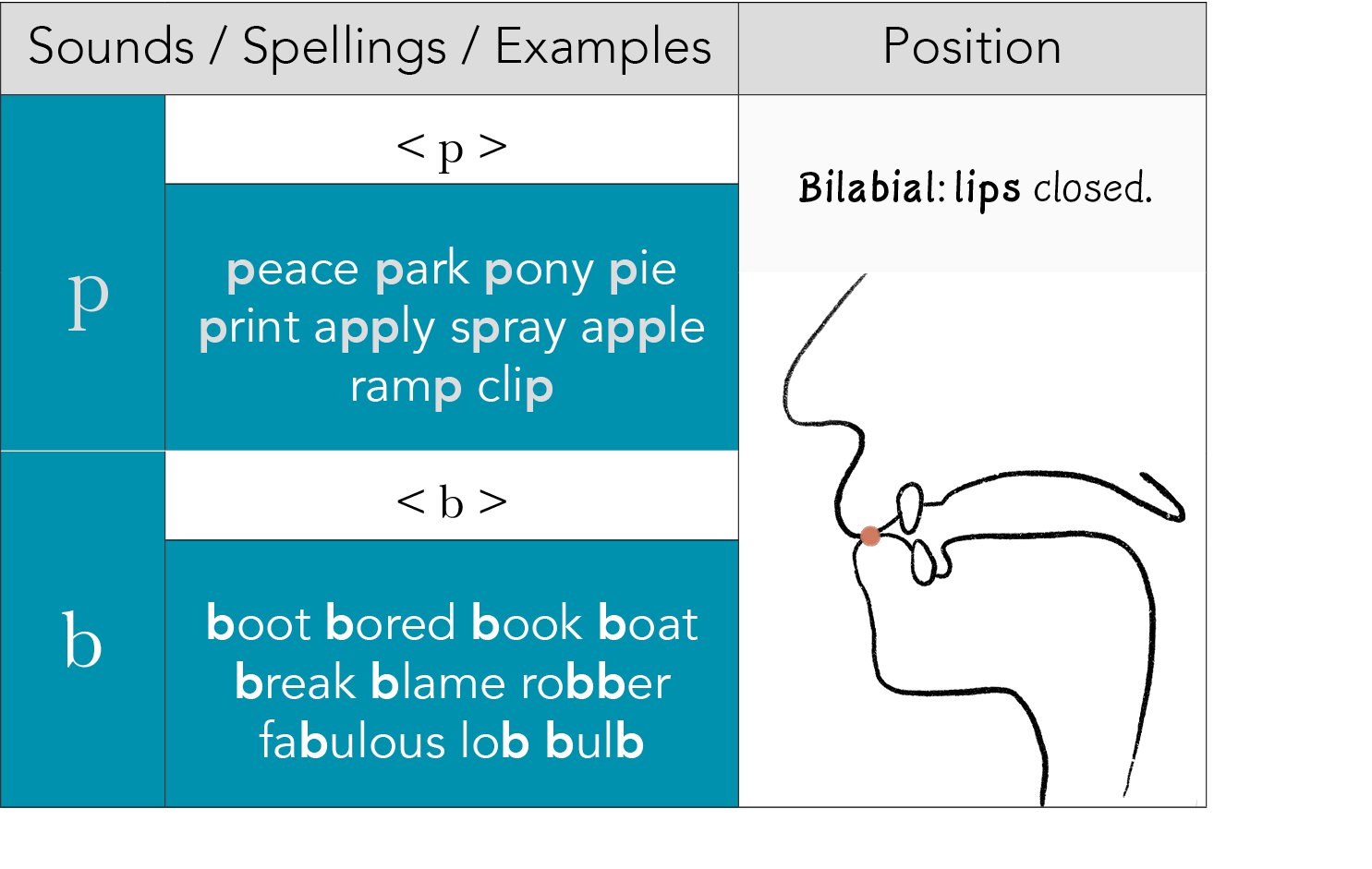 Sounds   Spellings   Examples,Position, p,  p  ,Bilabial: lips closed  ,peace park pony pie print apply spray apple r   